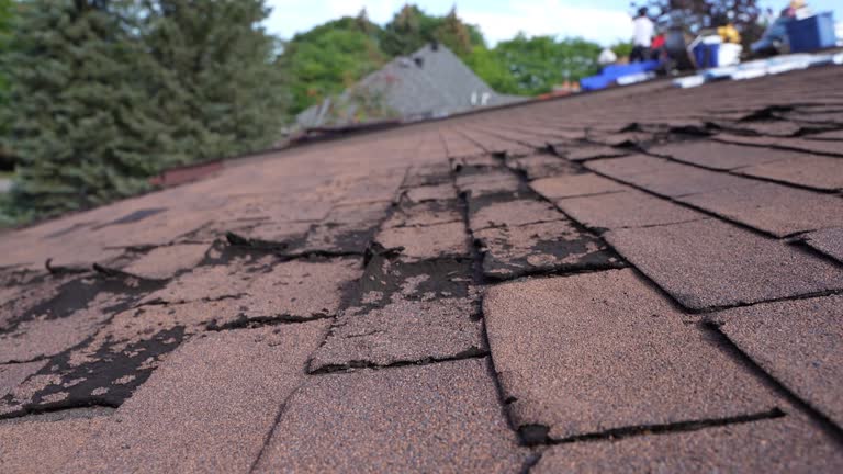 EPDM Roofing in Kurtistown, HI