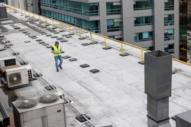 Best Cold Roofs  in Kurtistown, HI