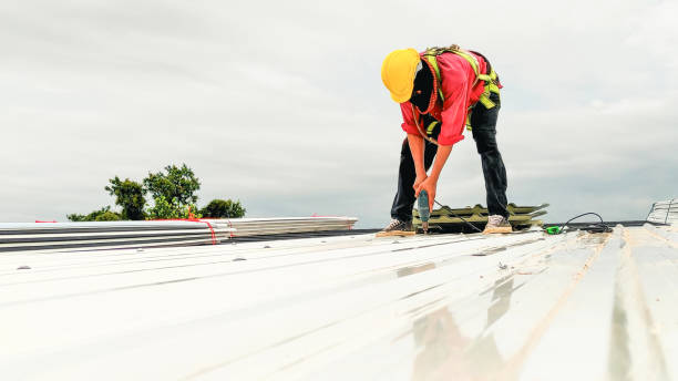 Best Commercial Roofing Services  in Kurtistown, HI