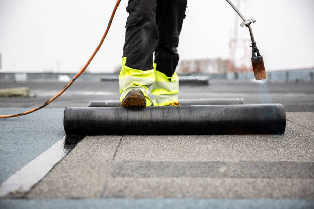Best Roof Waterproofing  in Kurtistown, HI