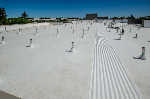 Best 4 Ply Roofing  in Kurtistown, HI